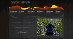 Desktop Screenshot of antoniocamoyan.com